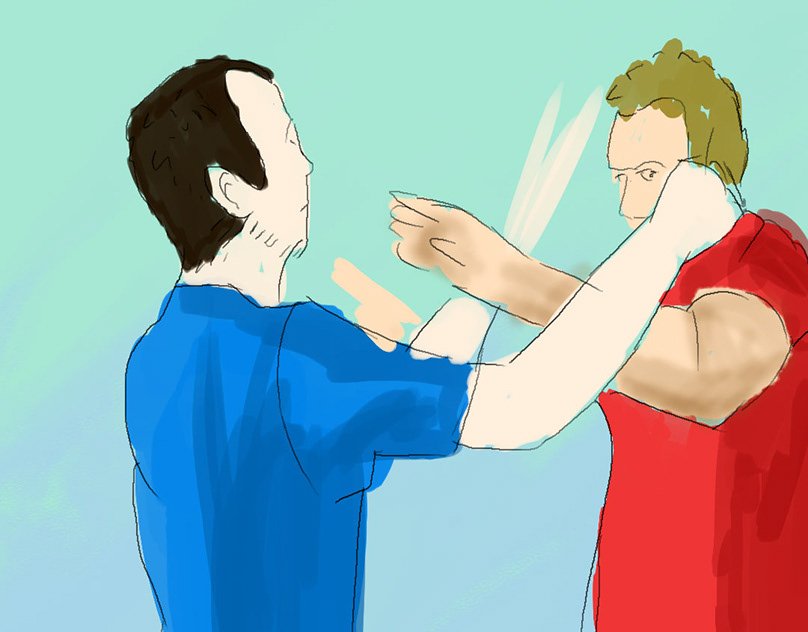 Wing Chun rotoscope cover